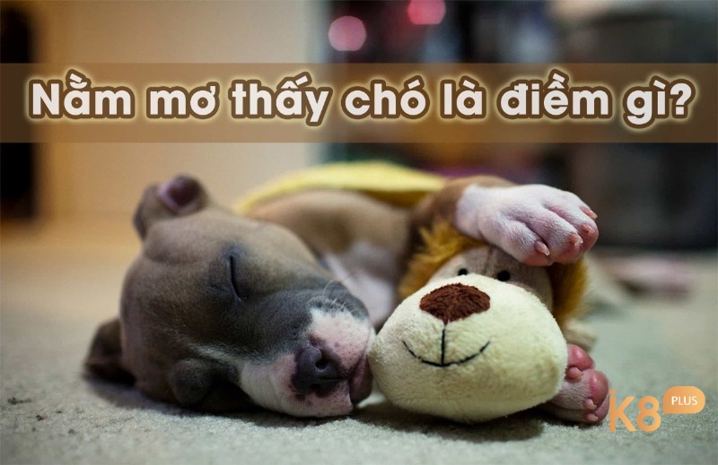 Giải mã giấc mơ thấy chó con theo từng ngữ cảnh mơ 
