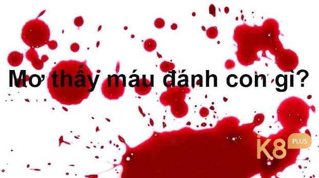 Mơ thấy máu có con số đề theo bối cảnh mơ 