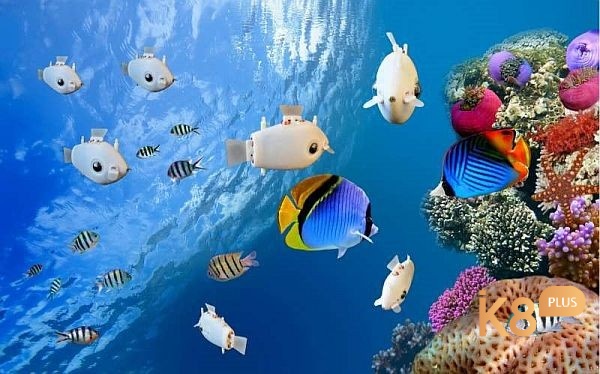 Giải mã giấc mơ về cá có bộ số phong phú theo bối cảnh 