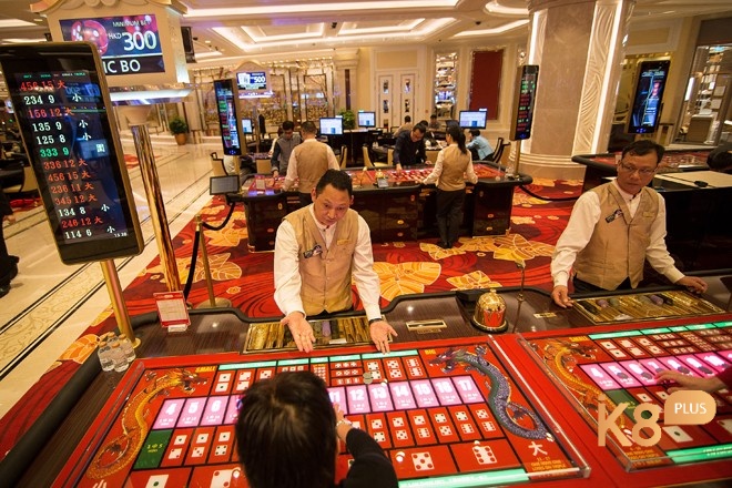 Từ hoàn tiền đến phòng miễn phí – thẻ thành viên casino mang lại lợi ích vượt mong đợi cho bạn