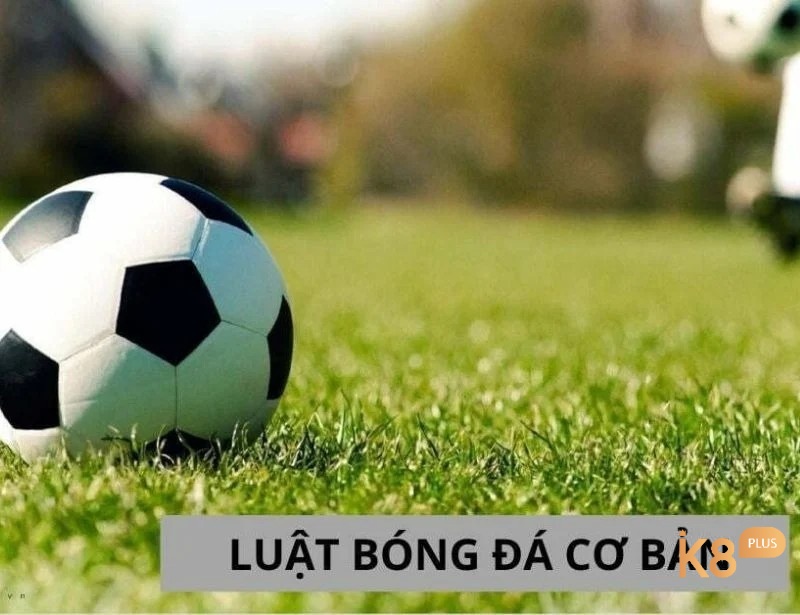Mỗi đội được phép có tối đa 11 cầu thủ trên sân tại mỗi thời điểm, trong đó có một thủ môn được phân biệt bằng trang phục riêng
