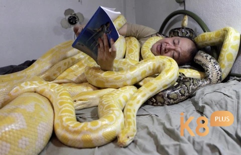Giải mã giấc mơ thấy rắn quấn quanh người khá hãi hùng - nó có nhiều ý nghĩa lắm