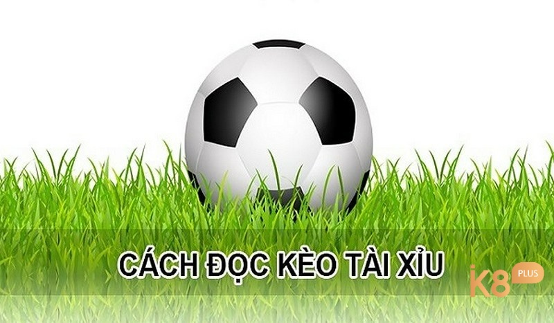 Đọc bảng kèo tài xỉu chính xác giúp tránh nhầm lẫn và hiểu rõ tỷ lệ trả thưởng nhà cái đưa ra